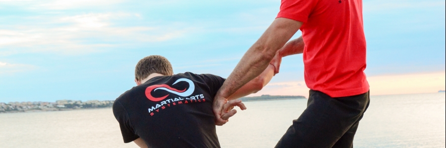 Martial Arts Systematics Salzburg